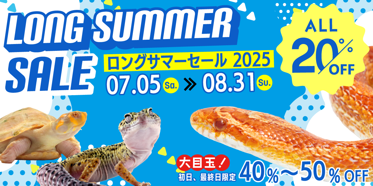 ロングサマーセール2025!!!