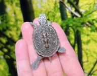 カロリナコンセントリック(ダイヤモンドバックテラピン)画像